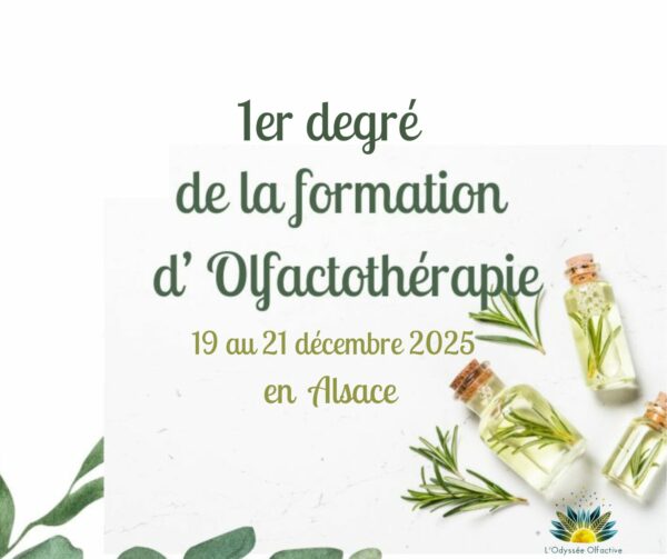 FORMATION / ALSACE / du 19 au 21 décembre 2025 - 300€ / 3 jours